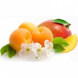 Mango-Apricot fond